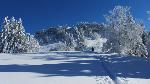 /Ski/2012/Images/1897/IMG_1198Icon.JPG