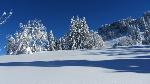 /Ski/2012/Images/1897/IMG_1200Icon.JPG
