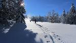 /Ski/2012/Images/1898/IMG_WEB_004Icon.JPG