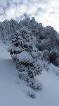 /Ski/2012/Images/1899/IMG_WEB_0001Icon.JPG