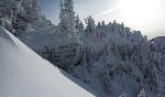 /Ski/2012/Images/1899/IMG_WEB_0030Icon.JPG