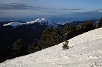 /Ski/2012/Images/1900/IMG_WEB_0006Icon.JPG