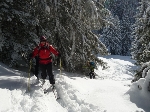 /Ski/2013/Images/1906/P1120188Icon.JPG