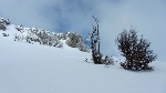 /Ski/2013/Images/1907/IMG_1446Icon.JPG