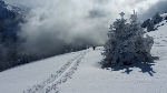 /Ski/2013/Images/1907/IMG_1447Icon.JPG