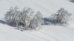/Ski/2013/Images/1907/IMG_1456Icon.JPG