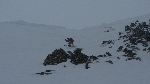 /Ski/2013/Images/1908/IMG_1497Icon.JPG