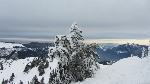 /Ski/2013/Images/1910/IMG_1502Icon.JPG