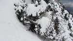 /Ski/2013/Images/1910/IMG_1514Icon.JPG
