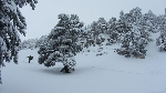 /Ski/2013/Images/1916/IMG_WEB_0003Icon.JPG