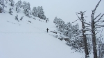 /Ski/2013/Images/1916/IMG_WEB_0004Icon.JPG