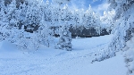 /Ski/2013/Images/1916/IMG_WEB_0017Icon.JPG