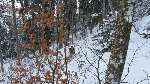 /Ski/2013/Images/1916/IMG_WEB_0032Icon.JPG