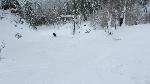 /Ski/2013/Images/1917/IMG_WEB_0022Icon.JPG