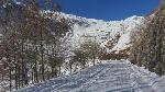 /Ski/2013/Images/1937/IMG_2847Icon.jpg