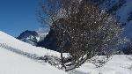 /Ski/2013/Images/1941/IMG_2939Icon.jpg