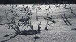 /Ski/2013/Images/1941/IMG_2955Icon.jpg