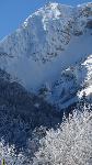 /Ski/2014/Images/1946/IMG_3174Icon.jpg