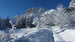 /Ski/2014/Images/1946/IMG_3178Icon.jpg