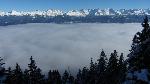 /Ski/2014/Images/1950/IMG_3232Icon.jpg