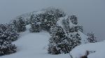 /Ski/2014/Images/1951/IMG_3256Icon.jpg