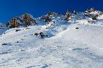 /Ski/2014/Images/1995/_MG_7540Icon.jpg