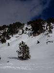 /Ski/2015/Images/2000/DSC00011Icon.jpg