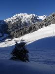 /Ski/2015/Images/2006/DSC00053Icon.jpg
