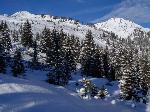 /Ski/2015/Images/2006/DSC00056Icon.jpg