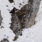 /Ski/2015/Images/2012/DSC00142Icon.jpg