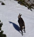 /Ski/2015/Images/2012/DSC00145Icon.jpg