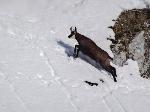 /Ski/2015/Images/2012/DSC00146Icon.jpg