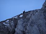 /Ski/2015/Images/2024/DSC00423Icon.jpg