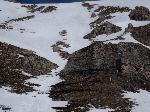/Ski/2015/Images/2024/DSC00433Icon.jpg