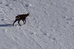 /Ski/2015/Images/2030/DSC00590Icon.jpg