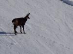 /Ski/2015/Images/2030/DSC00591Icon.jpg