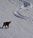 /Ski/2015/Images/2030/DSC00592Icon.jpg