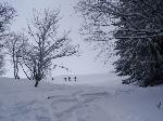 /Ski/2016/Images/2053/DSC01925Icon.jpg