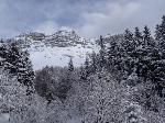 /Ski/2016/Images/2062/DSC02324Icon.jpg