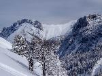 /Ski/2016/Images/2062/DSC02327Icon.jpg