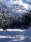 /Ski/2016/Images/2062/DSC02338Icon.jpg