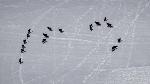 /Ski/2016/Images/2093/DSC03377Icon.jpg