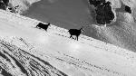 /Ski/2016/Images/2095/DSC03447Icon.jpg