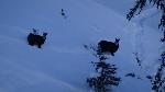 /Ski/2017/Images/2098/DSC03519Icon.jpg