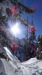 /Ski/2017/Images/2098/DSC03532Icon.jpg