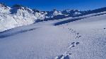 /Ski/2017/Images/2098/DSC03553Icon.jpg