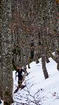 /Ski/2017/Images/2107/DSC03835Icon.jpg