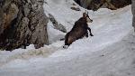 /Ski/2017/Images/2107/DSC03846Icon.jpg