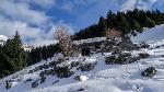 /Ski/2017/Images/2133/DSC04872Icon.jpg