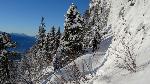 /Ski/2017/Images/2138/DSC04982Icon.jpg